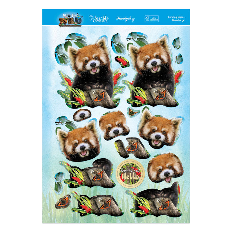 Into The Wild Deco-Large Set - Envoyer des Sourires
