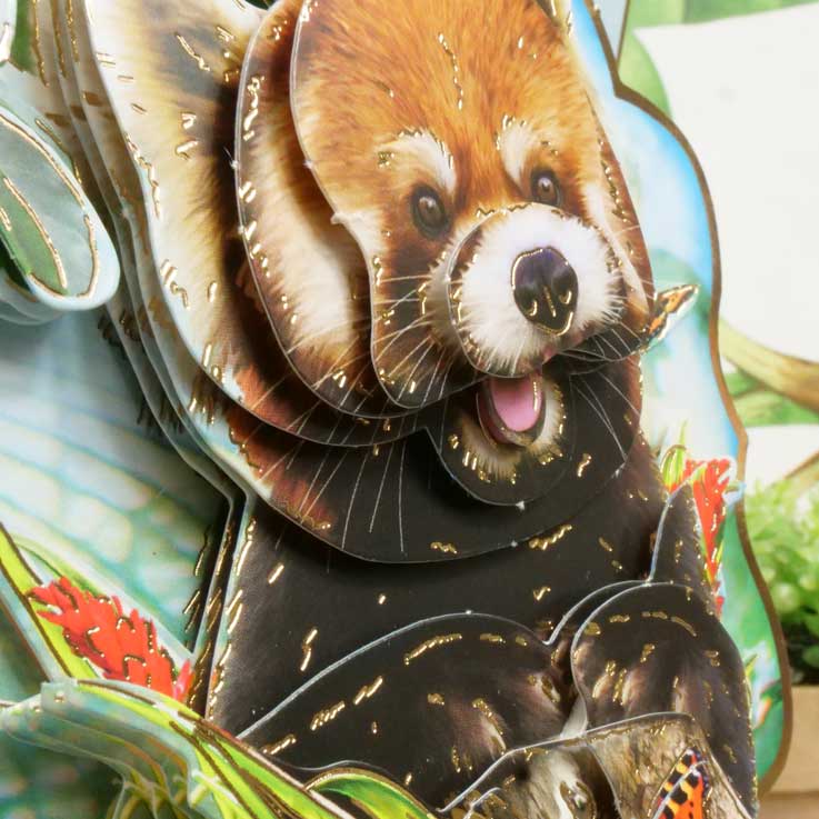 Into The Wild Deco-Large Set - Envoyer des Sourires