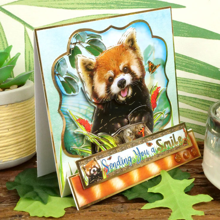 Into The Wild Deco-Large Set - Envoyer des Sourires