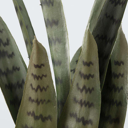 Zoro Sansevieria artificiel serpent plante en pot vert foncé 76 cm