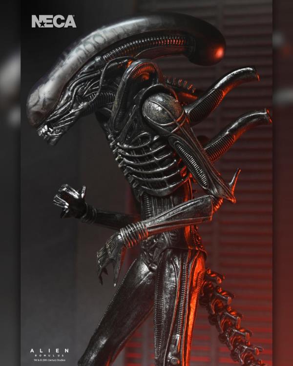 Alien: Romulus Xénomorphe ultime XX121