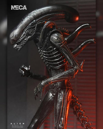 Alien: Romulus Xénomorphe ultime XX121