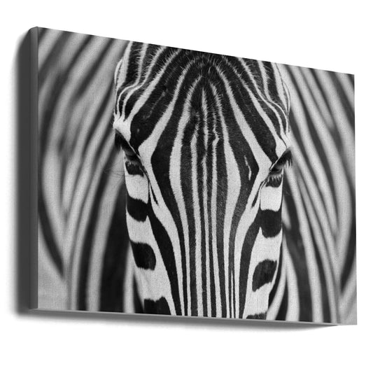 Wall art Zepra