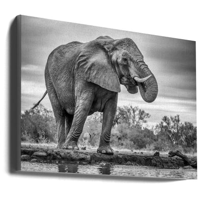 Art mural Fierté. Éléphant