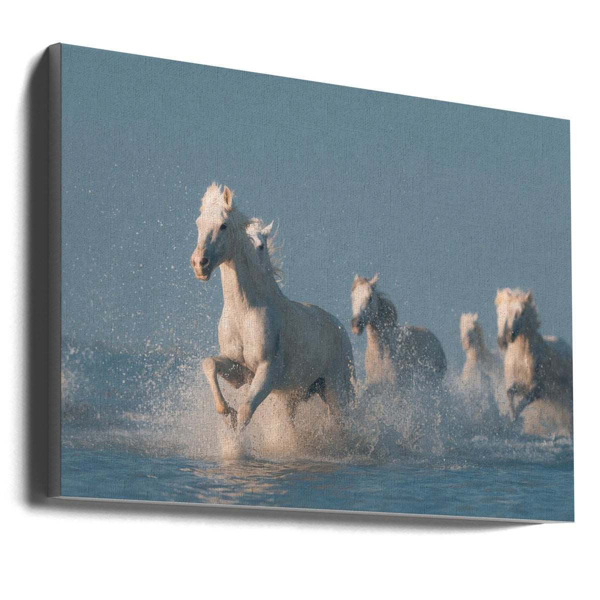 Art mural Anges de Camargue. Cheval