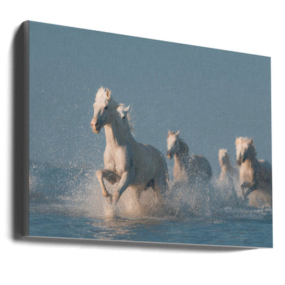 Art mural Anges de Camargue. Cheval