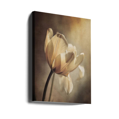 Art mural Tulipe pastel