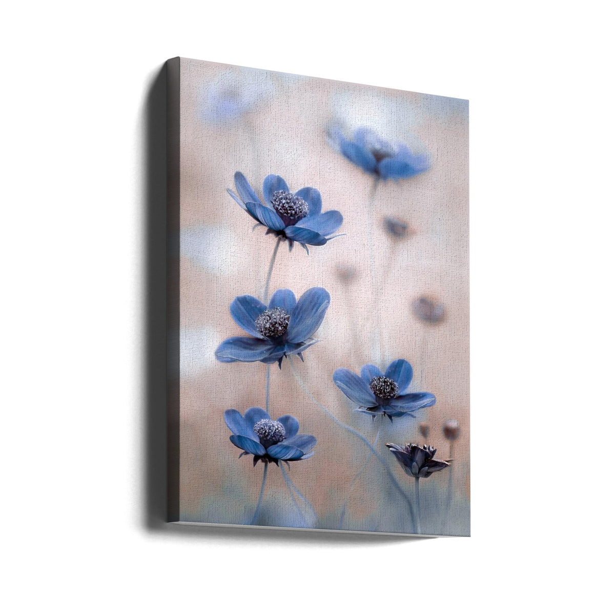 Art mural Cosmos bleu