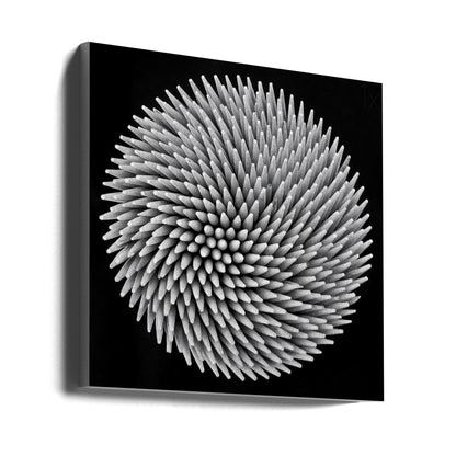 Hypnose par l'art mural