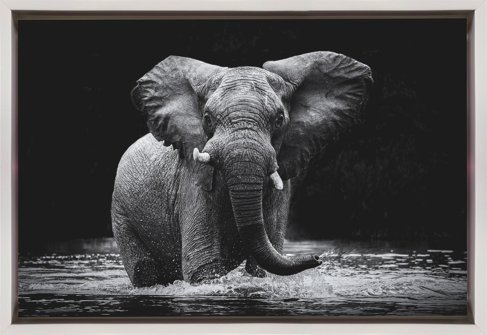 Art mural Power 1. Éléphant