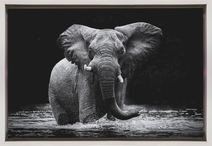 Art mural Power 1. Éléphant
