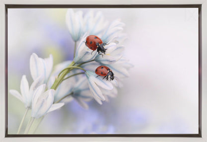 Décoration murale Coccinelles