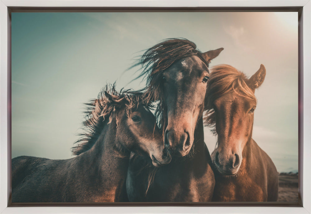 Art mural Portrait de famille Chevaux Impression sur toile