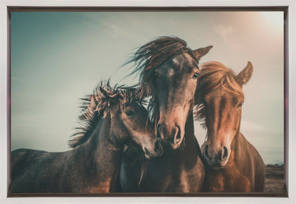 Art mural Portrait de famille Chevaux Impression sur toile