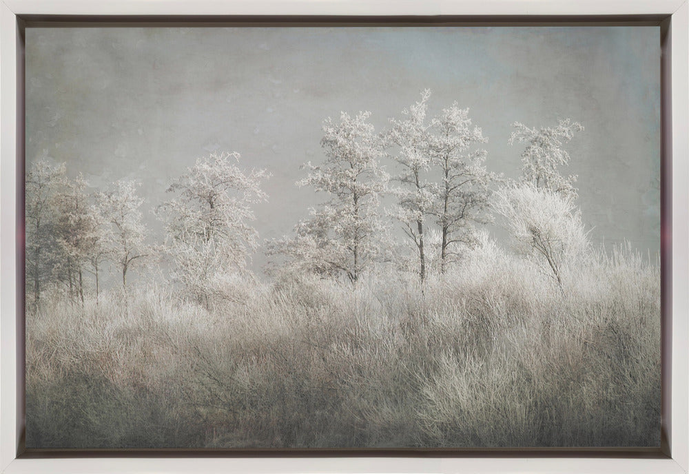 Art mural Matin froid