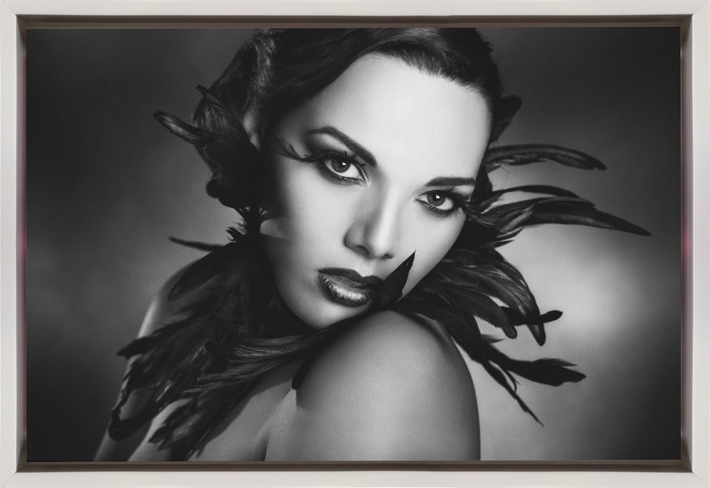 Art mural Les plumes noires