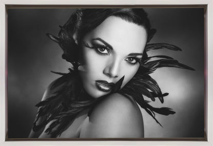 Art mural Les plumes noires