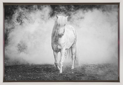 Art mural : poney islandais