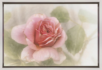 Décoration murale rose lisse
