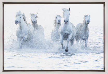 Art mural Chevaux au galop