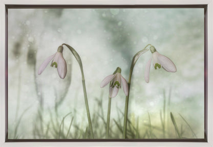Wall Art Trio 2