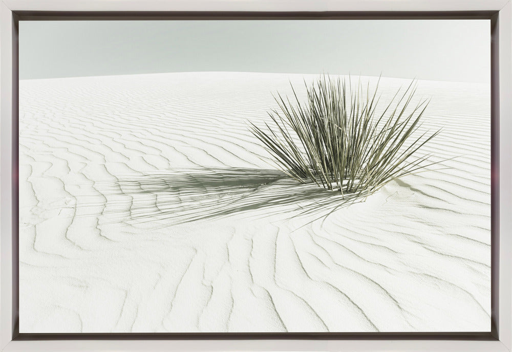 Décoration murale WHITE SANDS Dune Vintage