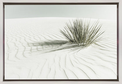 Décoration murale WHITE SANDS Dune Vintage