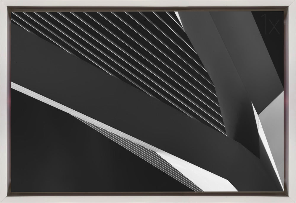 Art mural Abstraction d'un cygne