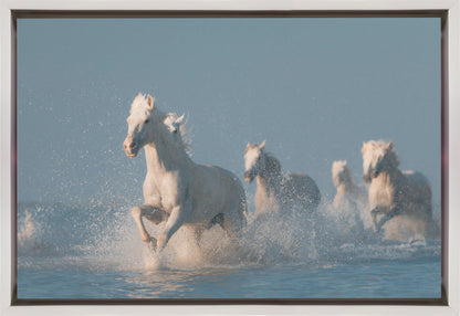 Art mural Anges de Camargue. Cheval