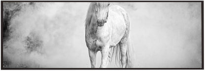 Art mural : poney islandais