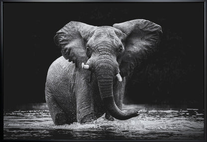 Art mural Power 1. Éléphant