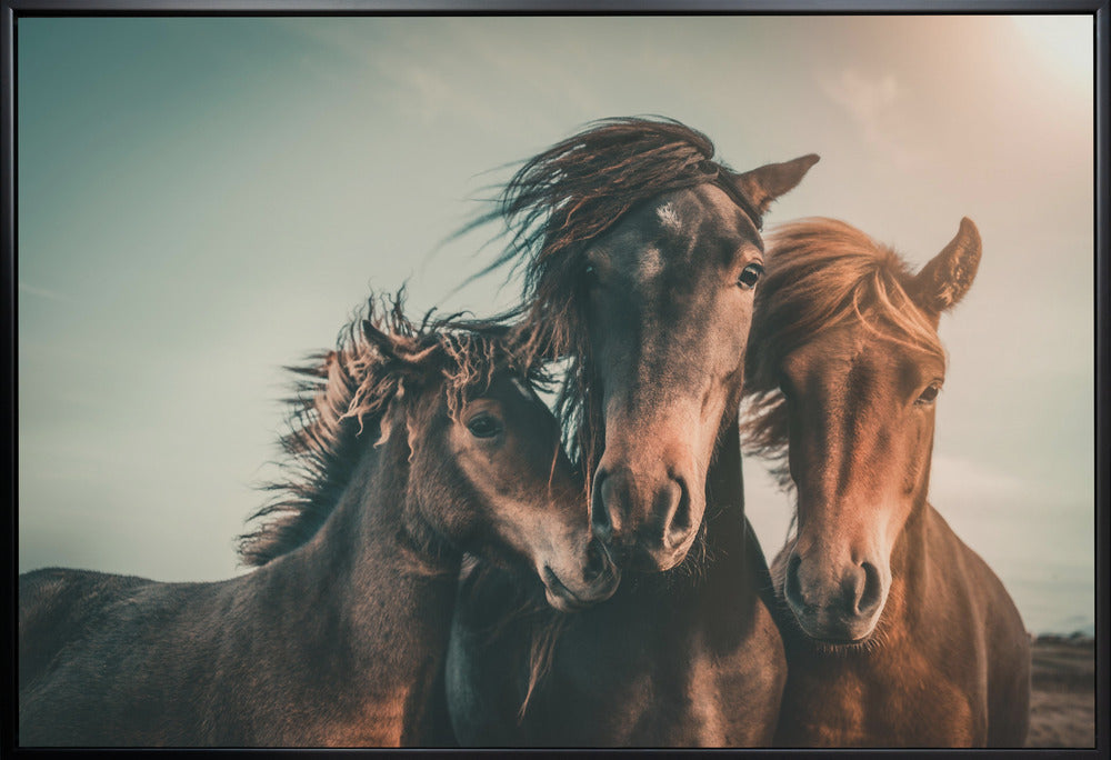 Art mural Portrait de famille Chevaux Impression sur toile
