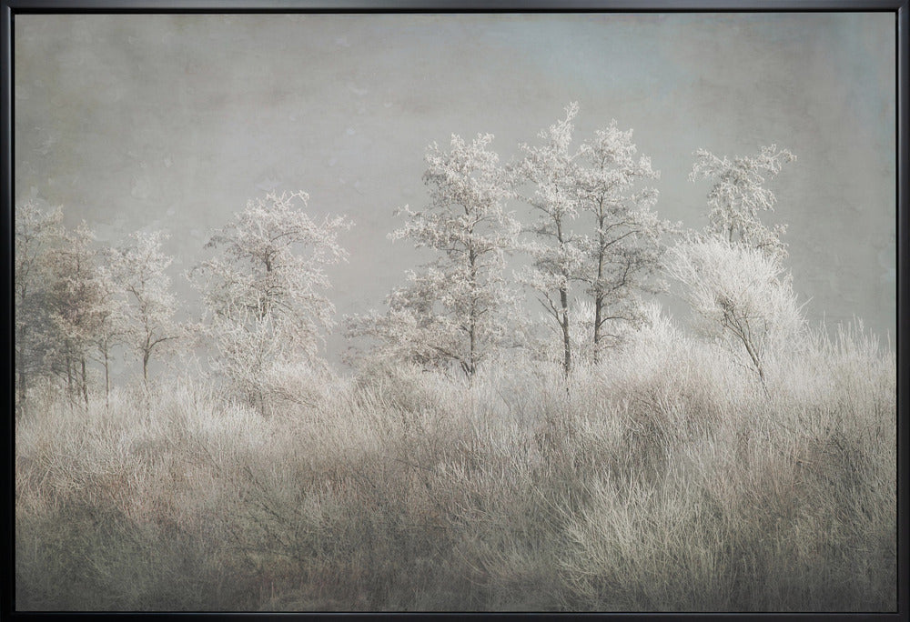 Art mural Matin froid