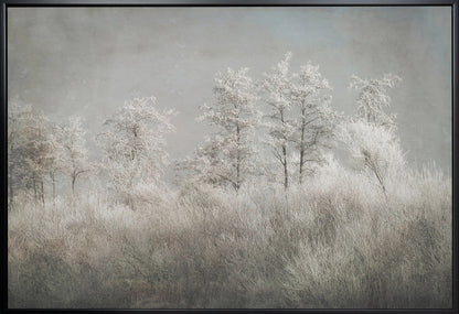 Art mural Matin froid