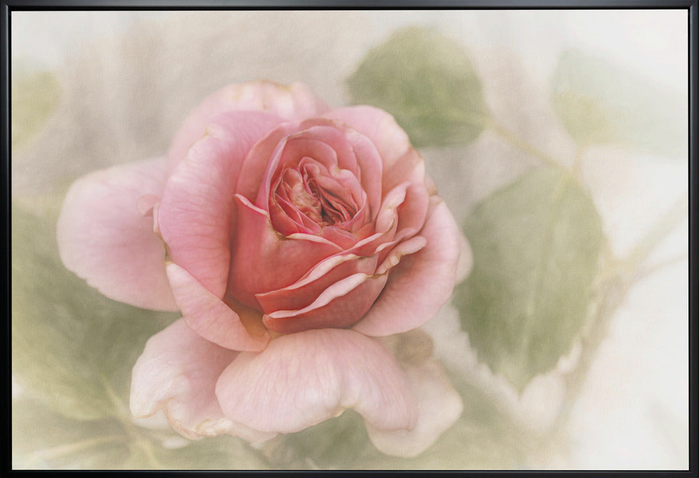 Décoration murale rose lisse