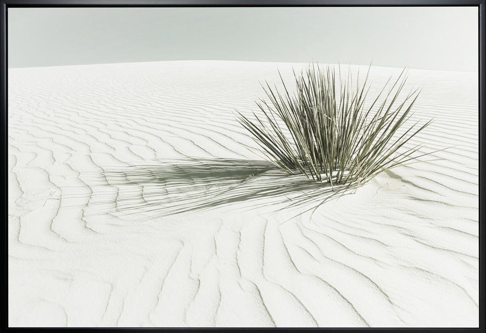 Décoration murale WHITE SANDS Dune Vintage