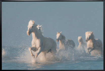 Art mural Anges de Camargue. Cheval