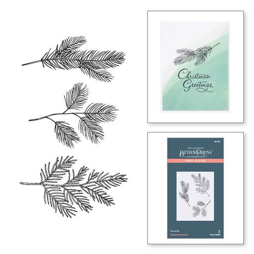 Plaque de presse Evergreen Branches de la collection BetterPress Christmas