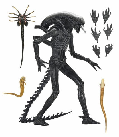 Alien: Romulus Xénomorphe ultime XX121