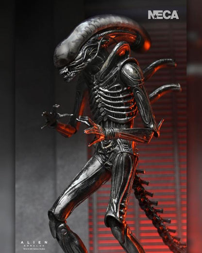 Alien: Romulus Xénomorphe ultime XX121