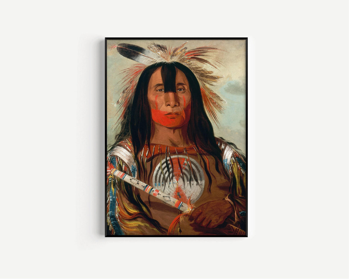 George Catlin - Blood Leader Stu-mick-o-s√∫cks | Famous Native American Aboriginal First Nations Art