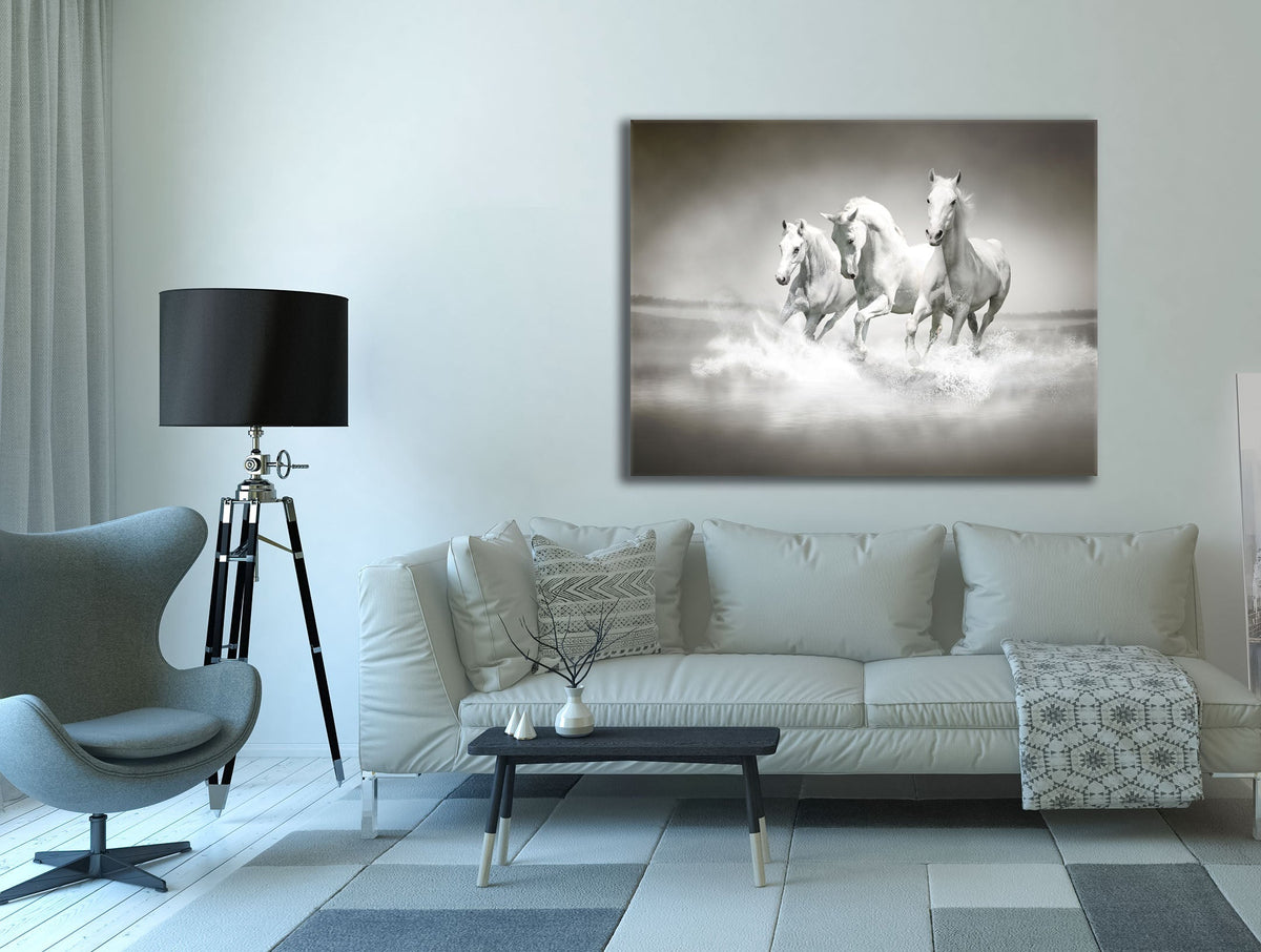 Art mural Étalons noirs et blancs - Toile imprimée animale