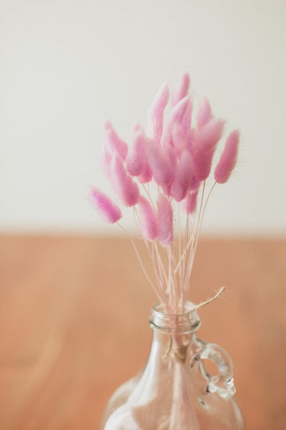 Bunny Tails