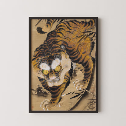 Vintage Japanese Tiger Art Print: Katayama Yokoku Woodblock, Giclee on Hahnemuhle Paper (Available Framed)