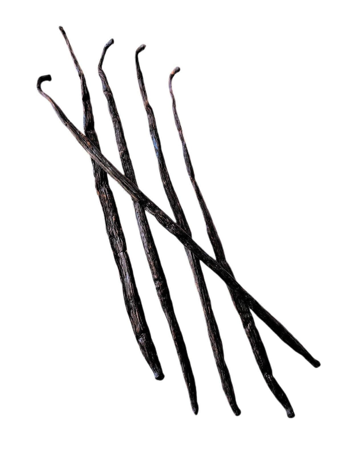Madagascar Bourbon Extract Vanilla Beans Grade-B <br>For Extract Making<BR>By Count