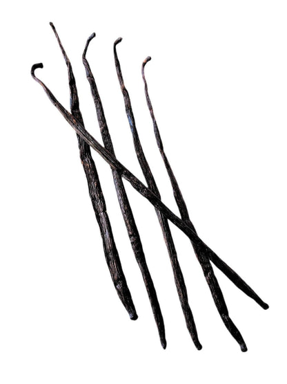 Madagascar Bourbon Extract Vanilla Beans Grade-B <br>For Extract Making<BR>By Count