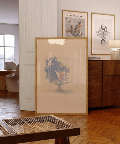 Seashell Art Print: Maurits van der Valk, Beige and Blue