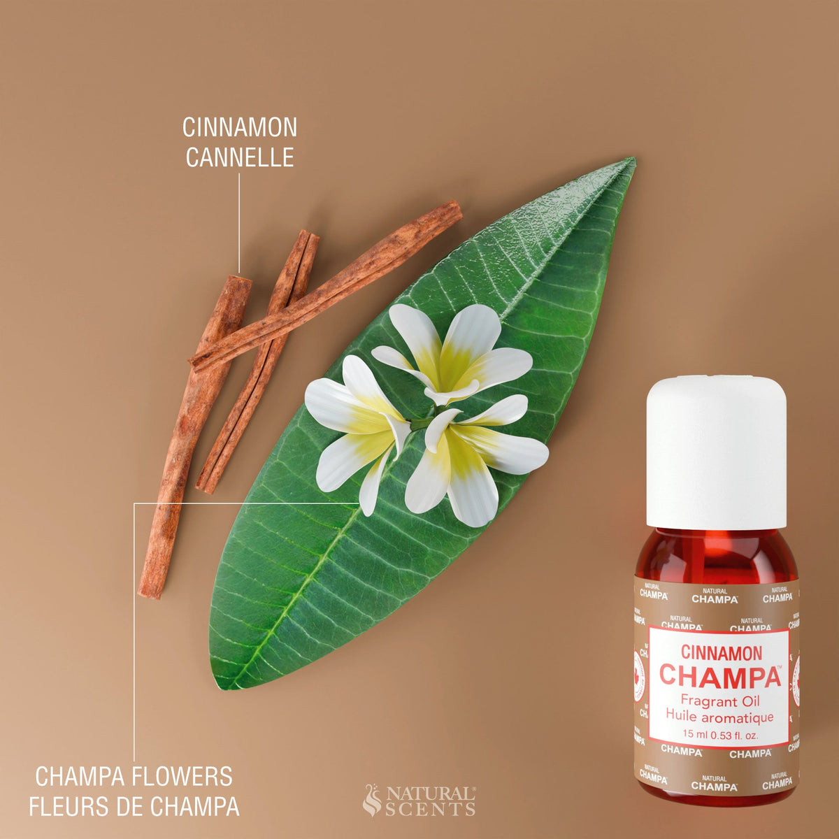 Cinnamon Champa Fragrant Oil