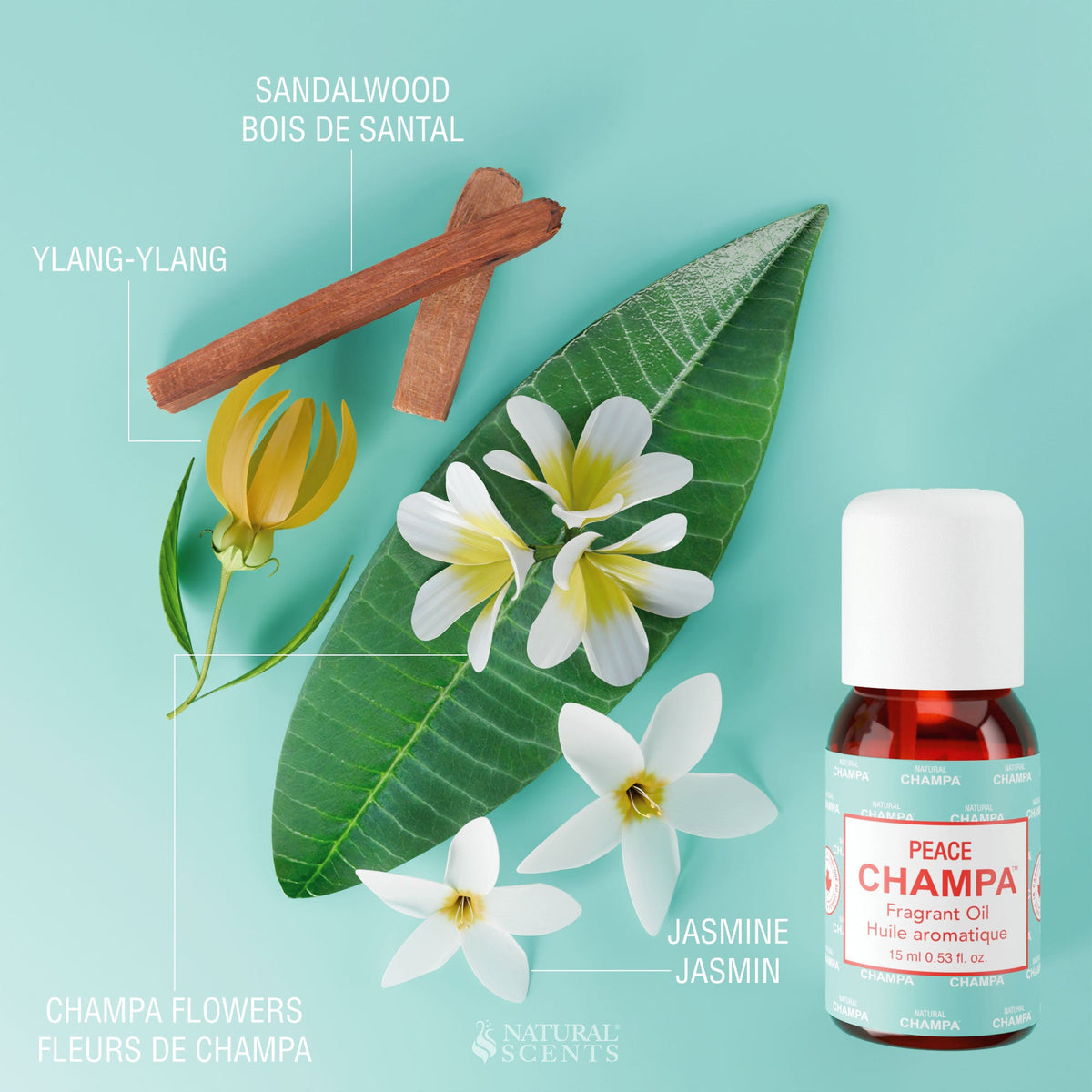 Peace Champa Fragrant Oil