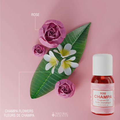 Rose Champa Fragrant Oil